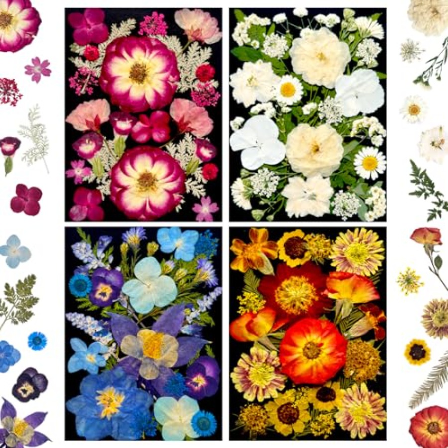 Pressed Dried Flowers for Resi - مراجعة Resin Art And Jewelry وسعره