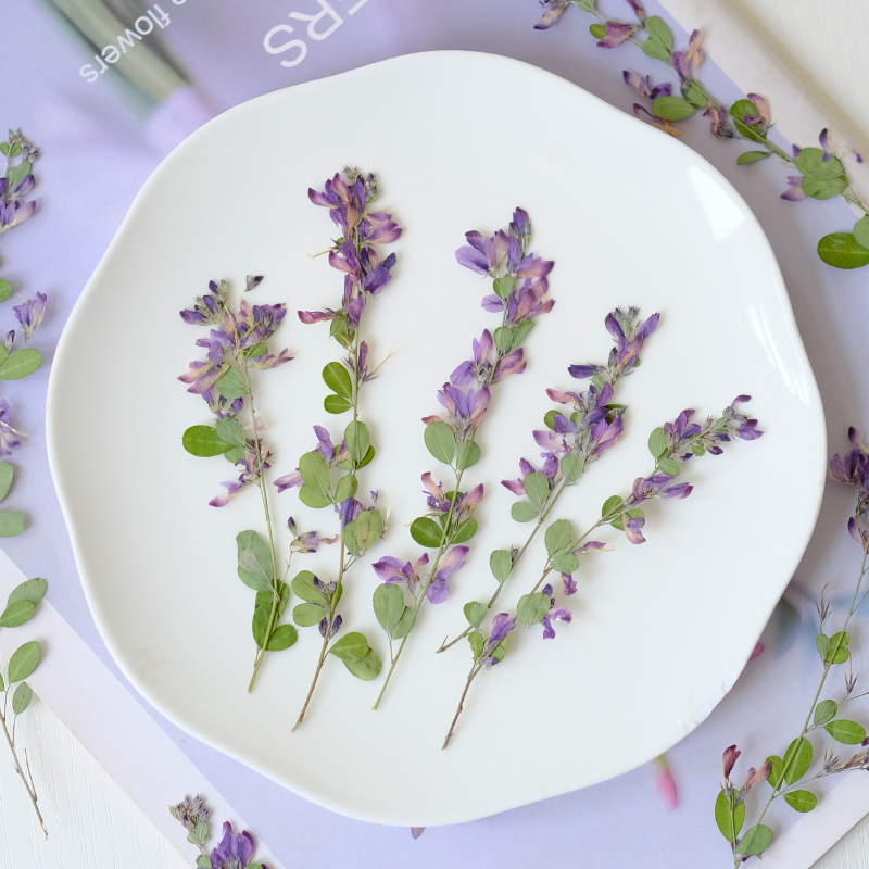 6pcs,nature Lespedeza Formosa  - مراجعة Resin Art And Jewelry وسعره