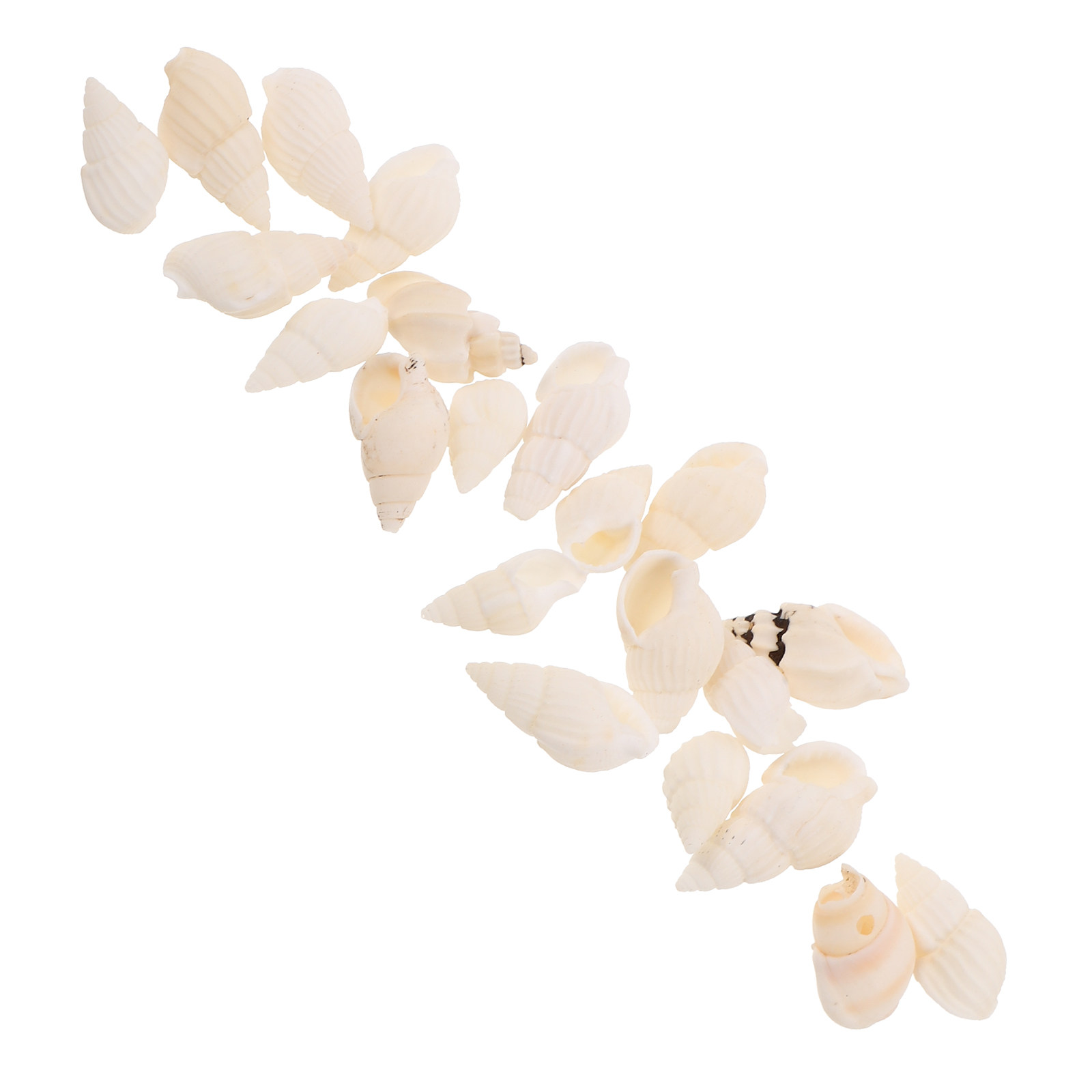 20Pcs White Spiral Seashells N - مراجعة Resin Art Beach Theme وسعره