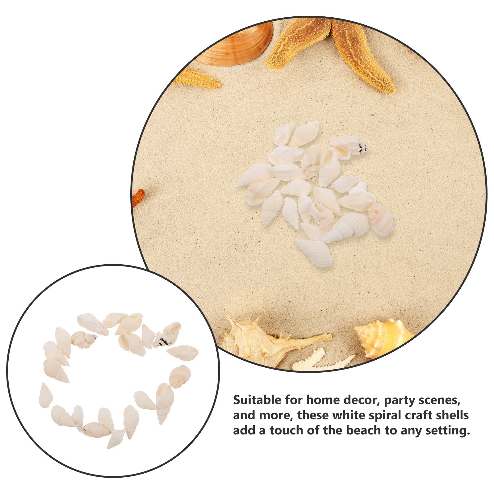 20Pcs White Spiral Seashells N - مراجعة Resin Art Beach Theme وسعره