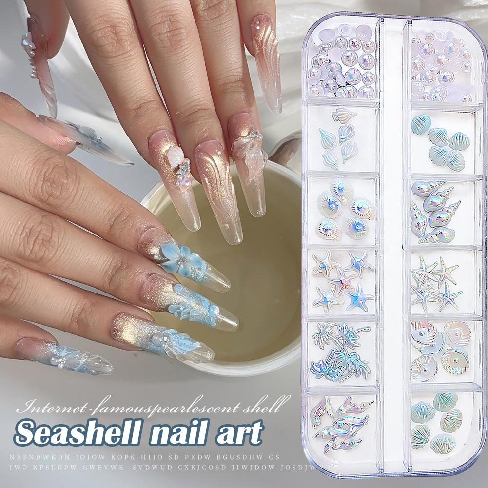 12 Grids/Box 3D Starfish And S - مراجعة Resin Art Beach Theme وسعره