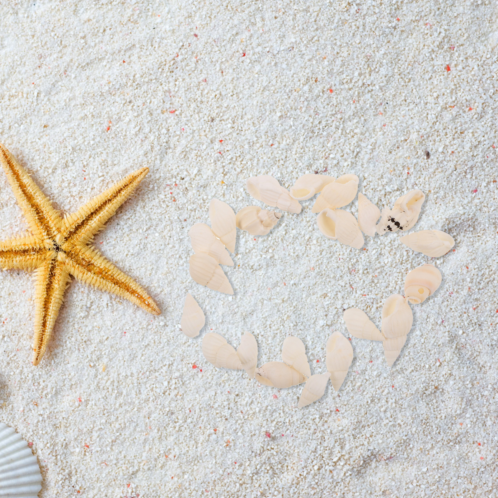 20Pcs White Spiral Seashells f - مراجعة Resin Art Beach Theme وسعره