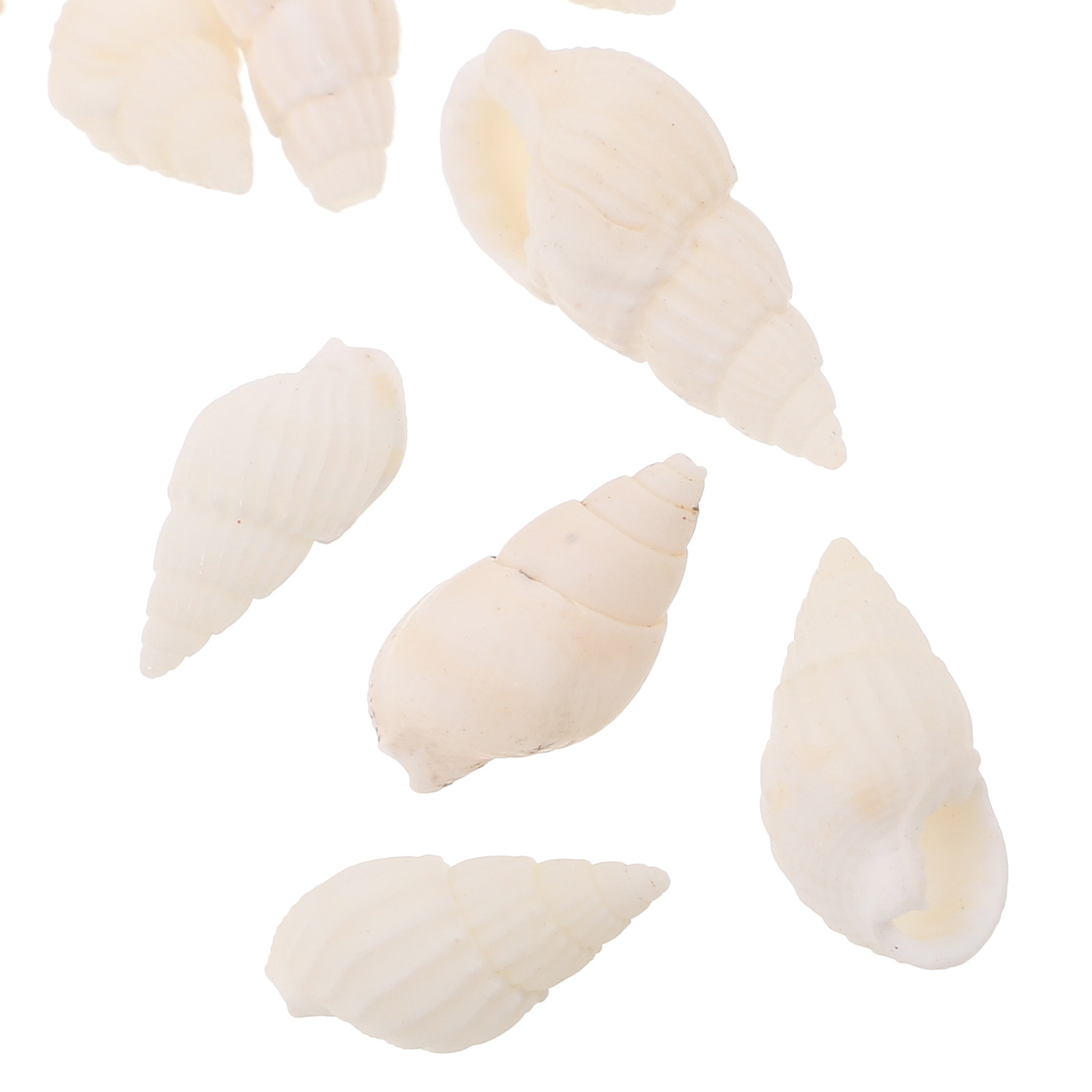 20Pcs White Spiral Seashells f - مراجعة Resin Art Beach Theme وسعره