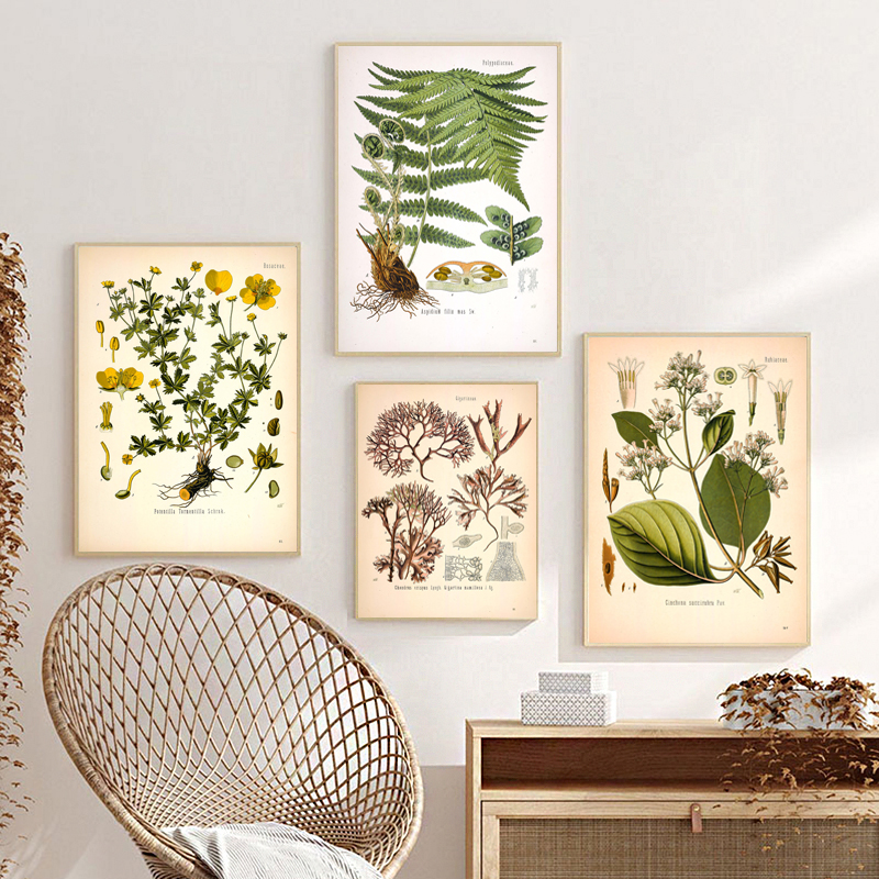 Vintage Medicinal Plants Botan - مراجعة Resin Art Aesthetic وسعره