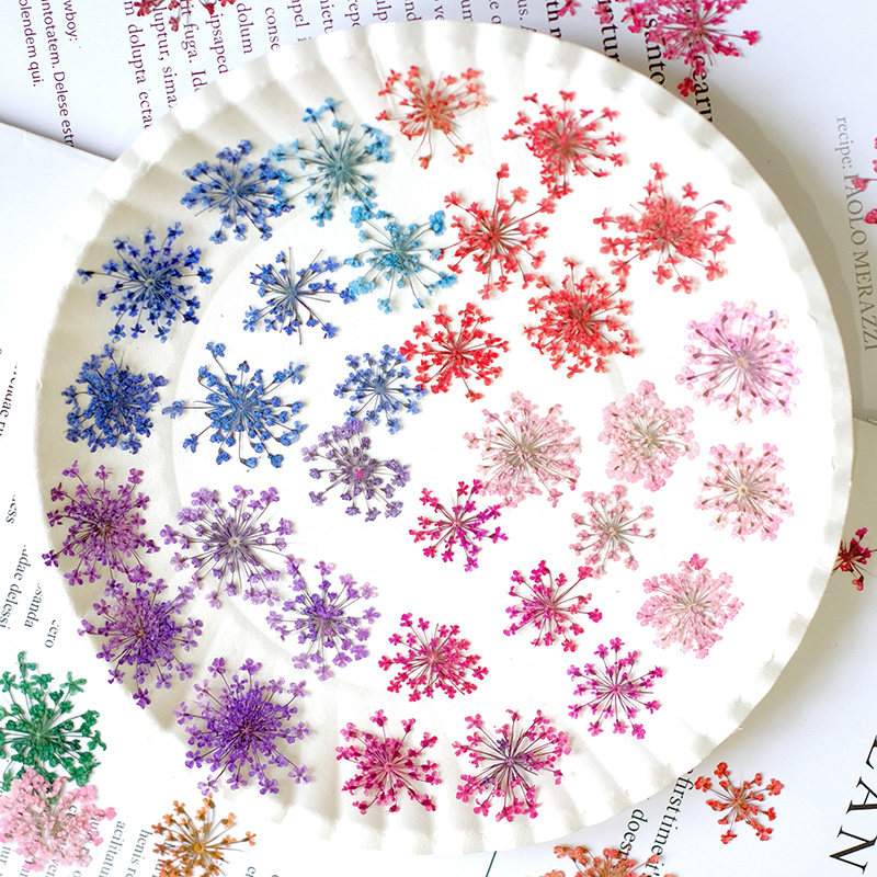 24pcs,2-2.5cm,nature Dyed Mini - مراجعة Resin Art Workshop وسعره