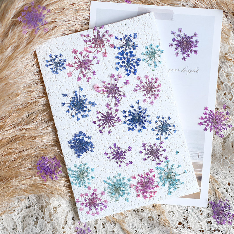 24pcs,2-2.5cm,nature Dyed Mini - مراجعة Resin Art Workshop وسعره