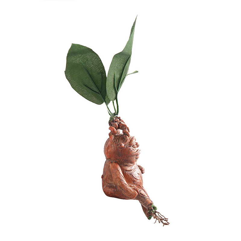 1PCS Mandrake Grass Resin Stat - مراجعة Resin Art Gift For Anniversary وسعره
