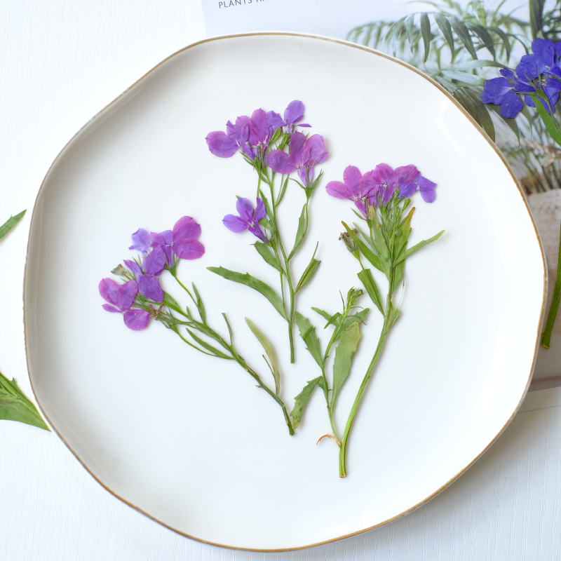 6pcs/8-13cm,nature Lobelia Eri - مراجعة Resin Art And Jewelry وسعره
