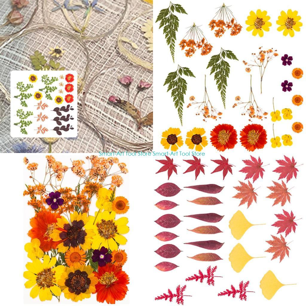 E1PB Natural Dry Flower Leaves - مراجعة Resin Art And Jewelry وسعره
