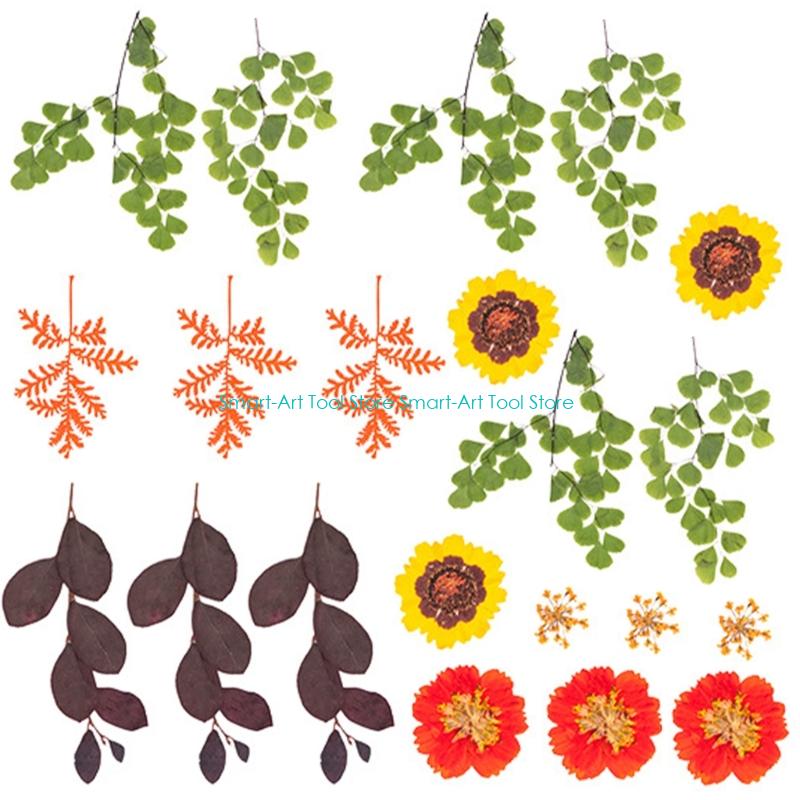 E1PB Natural Dry Flower Leaves - مراجعة Resin Art And Jewelry وسعره
