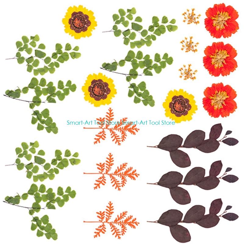 E1PB Natural Dry Flower Leaves - مراجعة Resin Art And Jewelry وسعره
