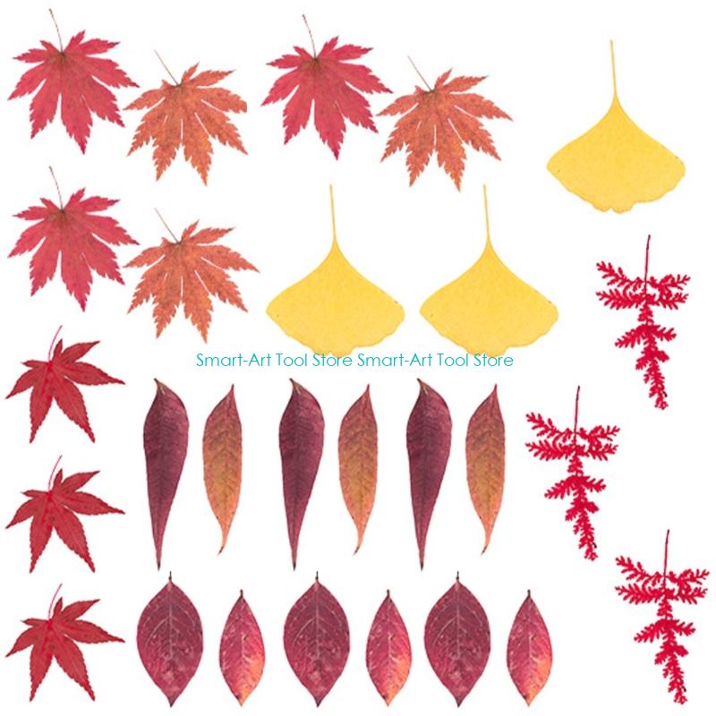 E1PB Natural Dry Flower Leaves - مراجعة Resin Art And Jewelry وسعره