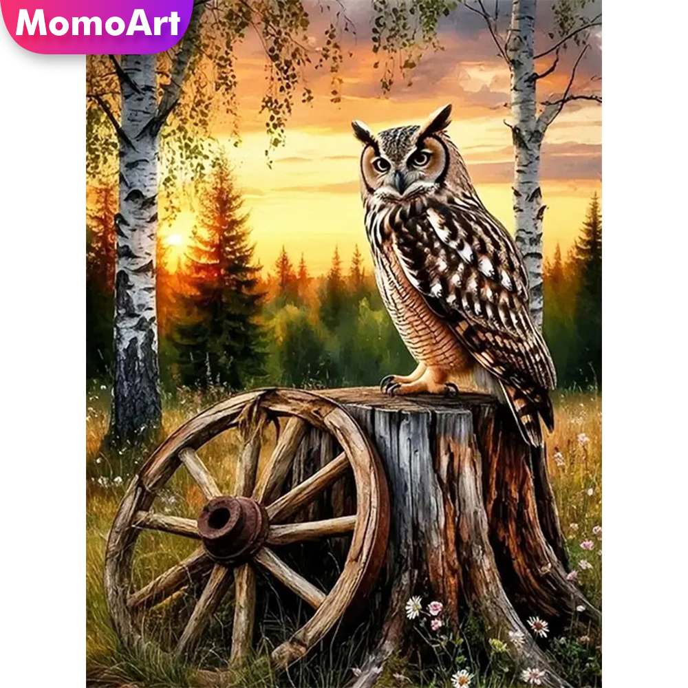 Momoart Diamond Embroidery Owl - مراجعة Resin Art Workshop وسعره