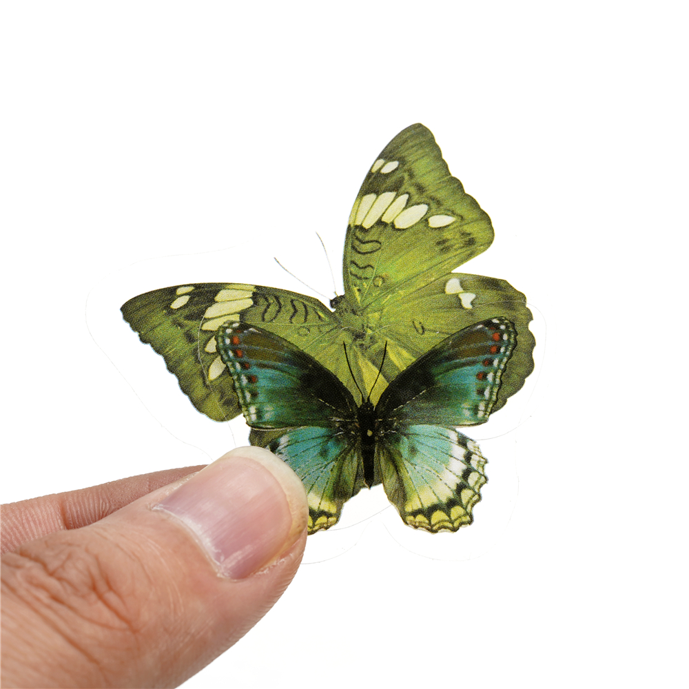 40pcs Colorful Butterfly Wings - مراجعة Resin Art Sticker وسعره